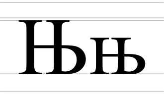 Image illustrative de l’article Њ