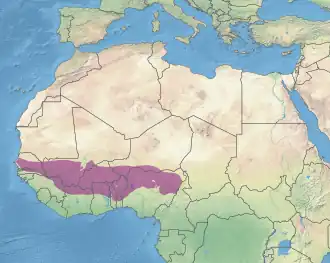 Description de l'image Ecoregion AT0722.svg.