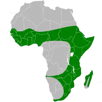 Description de l'image Egretta ardesiaca map.svg.