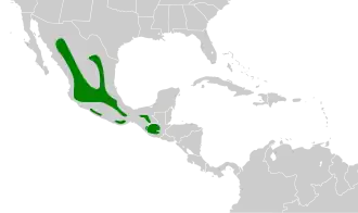 Description de l'image Empidonax affinis map.svg.