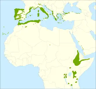 Description de l'image Erica arborea range.svg.