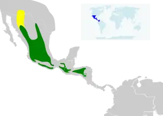 Description de l'image Eugenes fulgens map 2.svg.