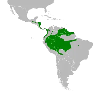 Description de l'image Euphonia minuta map.svg.