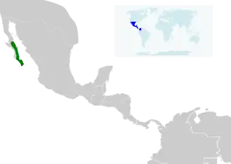 Description de l'image Geothlypis beldingi map.svg.