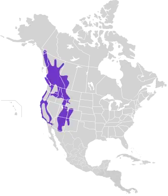Description de l'image Glaucidium californicum map.svg.