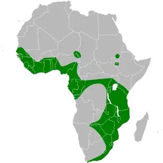 Description de l'image Gorsachius leuconotus map.svg.