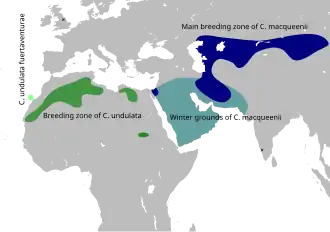Description de l'image Houbara map.svg.