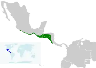 Description de l'image Icterus pectoralis map.svg.