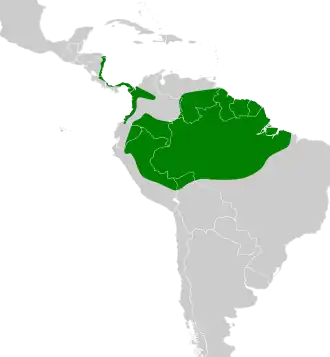 Description de l'image Jacamerops aureus map.svg.