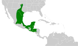 Description de l'image Melanerpes aurifrons map.svg.