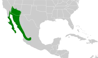 Description de l'image Melanerpes uropygialis map.svg.