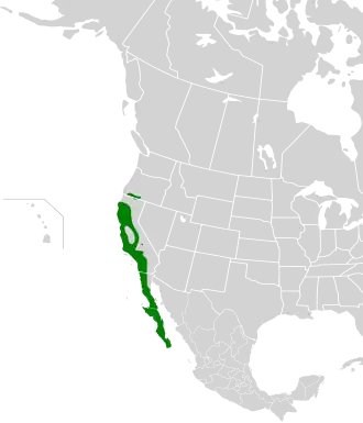 Description de l'image Melozone crissalis map.svg.