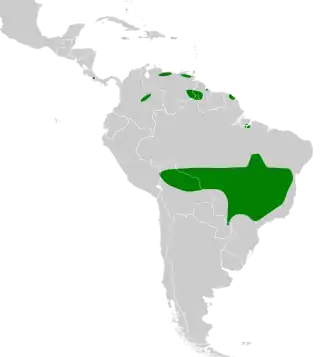 Description de l'image Micropygia schomburgkii map.svg.