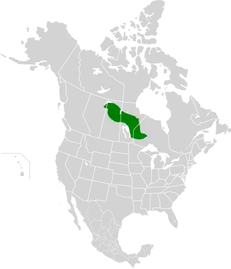 Description de l'image Midwestern Canadian Shield forests map.svg.
