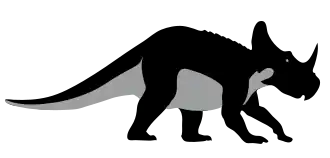 Description de l'image Monoclonius dinosaur.svg.