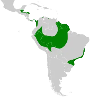 Description de l'image Morphnus guianensis map.svg.