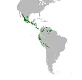 Description de l'image Myioborus miniatus map.svg.