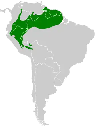 Description de l'image Myrmelastes leucostigma map.svg.