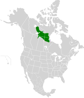 Description de l'image Northern Canadian Shield taiga map.svg.