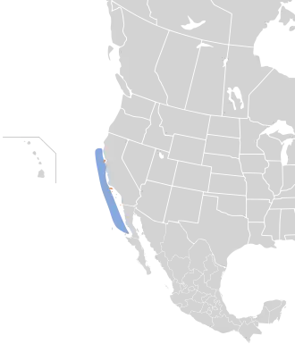 Description de l'image &nbsp;Oceanodroma homochroa map.svg.