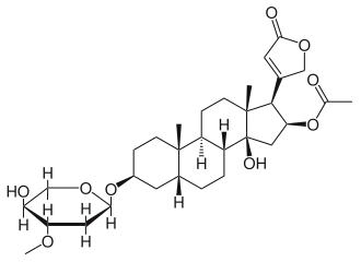 Image illustrative de l’article Oléandrine