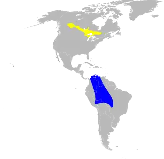 Description de l'image Oporornis agilis map.svg.