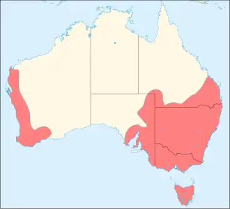 Description de l'image Oxyura australis distribution map.svg.