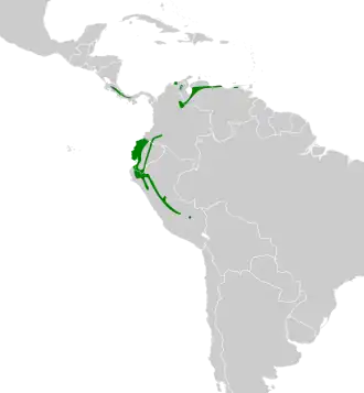 Description de l'image Pachyramphus albogriseus map.svg.