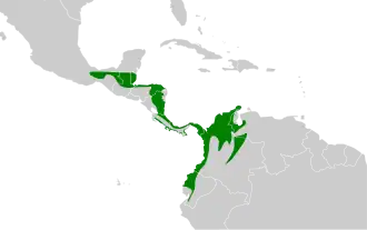 Description de l'image Pachyramphus cinnamomeus map.svg.