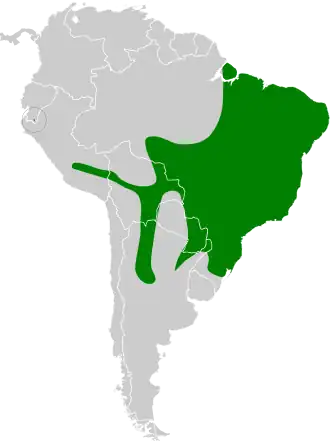 Description de l'image Pachyramphus validus map.svg.