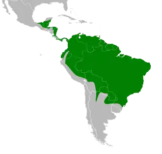 Description de l'image Patagioenas_cayennensis_map.svg.