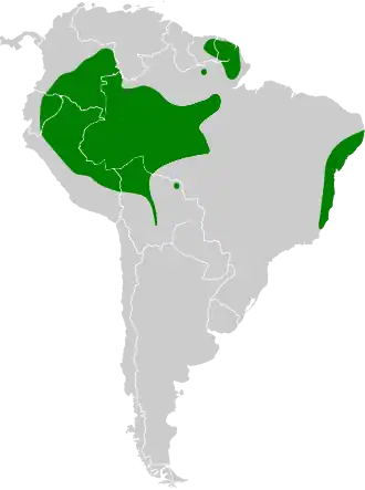 Description de l'image Phaethornis malaris map.svg.