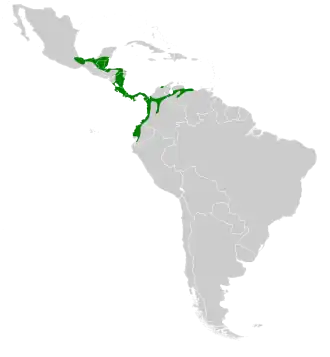 Description de l'image Phaethornis striigularis map.svg.