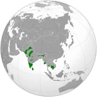 Description de l'image Phalacrocorax fuscicollis map.svg.