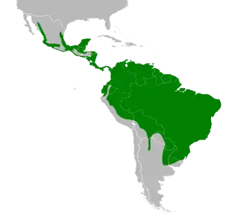 Description de l'image Piaya cayana map.svg.