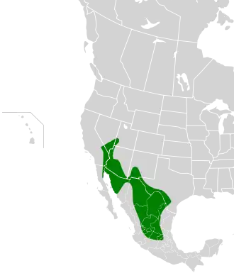 Description de l'image Polioptila melanura map.svg.