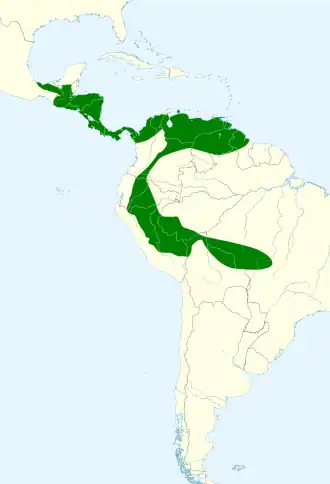 Description de l'image Pteronotus gymnonotus map.svg.