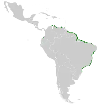 Description de l'image Rallus longirostris map.svg.