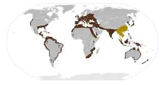 Description de l'image Rattus rattus map.svg.