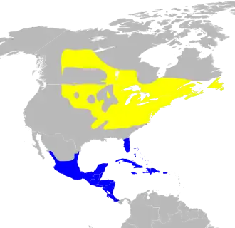 Description de l'image Seiurus aurocapilla map.svg.