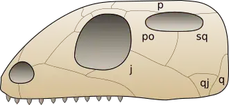 Description de cette image, également commentée ci-après