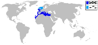 Description de l'image Sparus aurata mapa.svg.