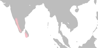 Description de cette image, également commentée ci-après