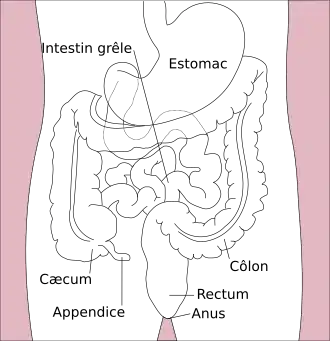 Description de cette image, également commentée ci-après