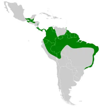 Description de l'image Thyroptera tricolor map.svg.