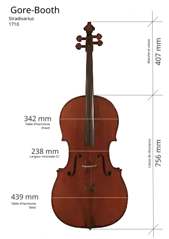 Image illustrative de l’article Gore-Booth (Stradivarius)