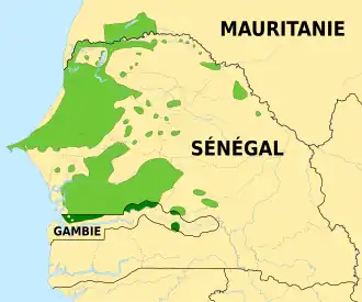 Image illustrative de l’article Wolof (langue)