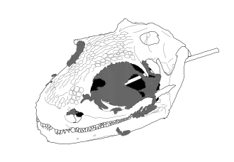 Description de l'image Yaksha_drawing_no_photo.svg.