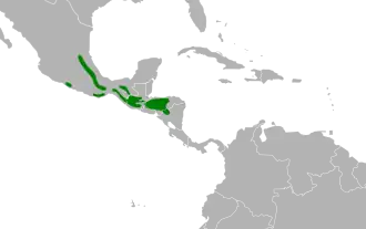 Description de l'image Zentrygon albifacies map.svg.