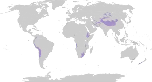 Description de l'image Biome_map_10.svg.